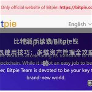 比特派手续费 Bitpie钱包使用技巧：多链资产管理全攻略