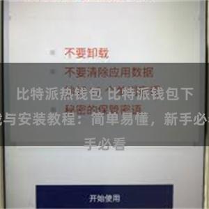 比特派热钱包 比特派钱包下载与安装教程：简单易懂，新手必看