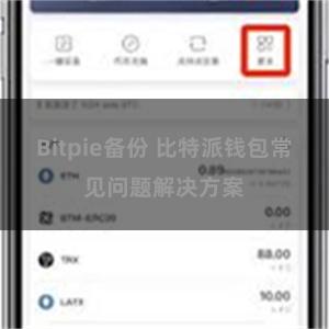 Bitpie备份 比特派钱包常见问题解决方案