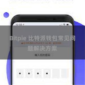 Bitpie 比特派钱包常见问题解决方案