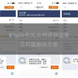 Bitpie中文 比特派钱包常见问题解决方案