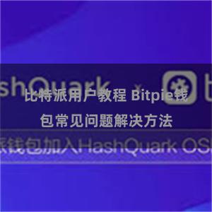 比特派用户教程 Bitpie钱包常见问题解决方法