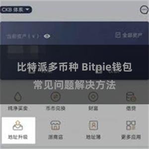 比特派多币种 Bitpie钱包常见问题解决方法