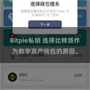 Bitpie私钥 选择比特派作为数字资产钱包的原因。