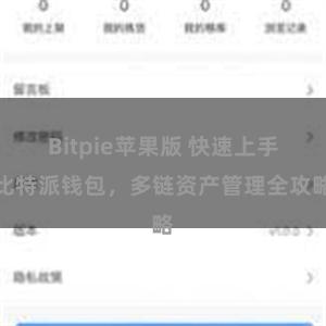 Bitpie苹果版 快速上手比特派钱包，多链资产管理全攻略