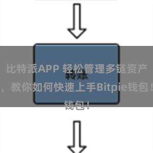 比特派APP 轻松管理多链资产，教你如何快速上手Bitpie钱包！