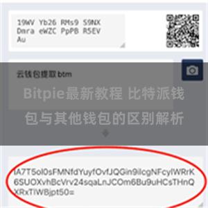 Bitpie最新教程 比特派钱包与其他钱包的区别解析