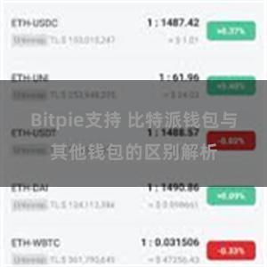 Bitpie支持 比特派钱包与其他钱包的区别解析