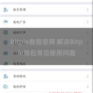 Bitpie教程官网 解决Bitpie钱包常见使用问题