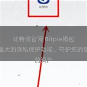 比特派官网 Bitpie钱包：强大的隐私保护功能，守护您的资产