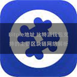 Bitpie地址 比特派钱包支持的主要区块链网络解析