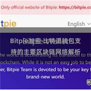 Bitpie加密 比特派钱包支持的主要区块链网络解析