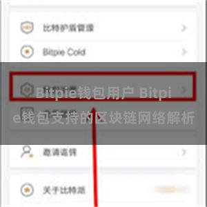 Bitpie钱包用户 Bitpie钱包支持的区块链网络解析