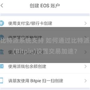 比特派系统支持 如何通过比特派(Bitpie)设置交易加速？