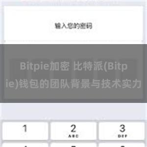 Bitpie加密 比特派(Bitpie)钱包的团队背景与技术实力