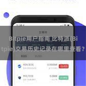 Bitpie用户指南 比特派(Bitpie)交易历史记录在哪里查看？