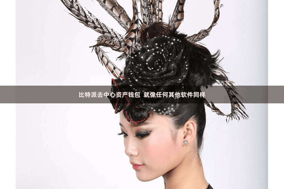 比特派去中心资产钱包  就像任何其他软件同样